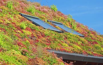 Mintsfeet living roof systems